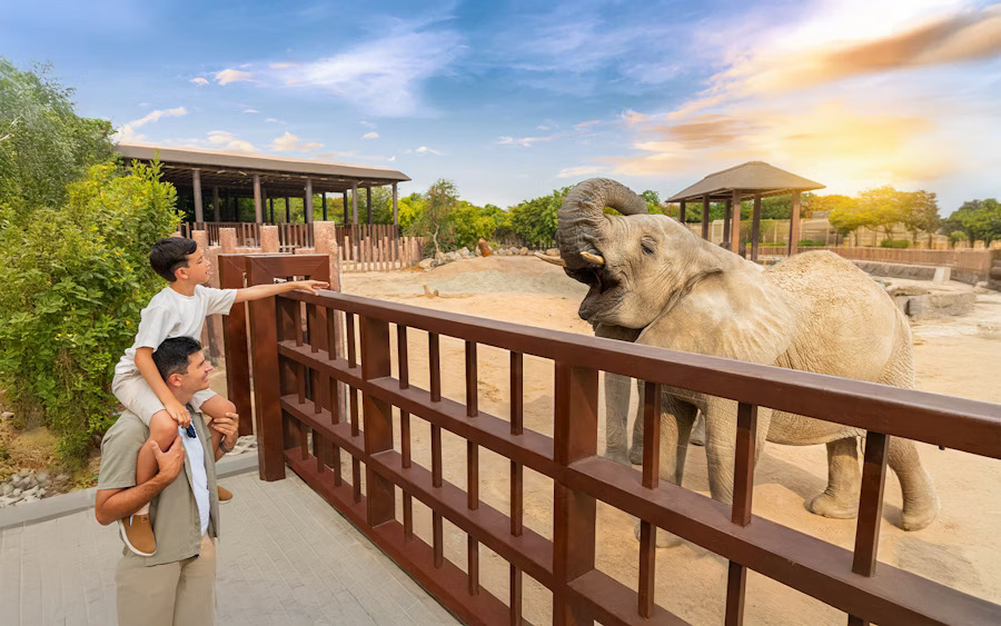 Dubai Safari Park